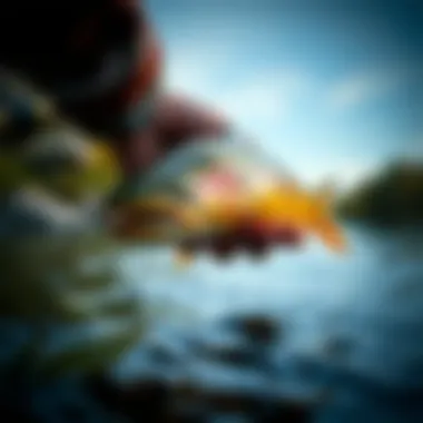 Magnificent A Comprehensive Guide to Fishing for Trout in a River
