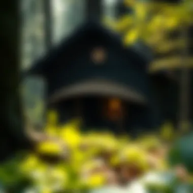 Magnificent Exploring the Concept of Home in the Forest