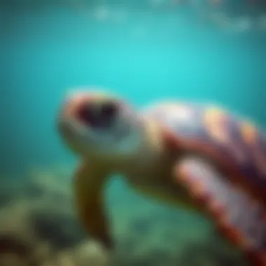 Magnificent Sea Turtles in Danger: An In-Depth Examination of Threats and Conservation Efforts Magnificent Sea Turtles in Danger: An In-Depth Examination of Threats and Conservation Efforts