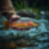 A Comprehensive Guide to Fishing for Trout in a River Introduction