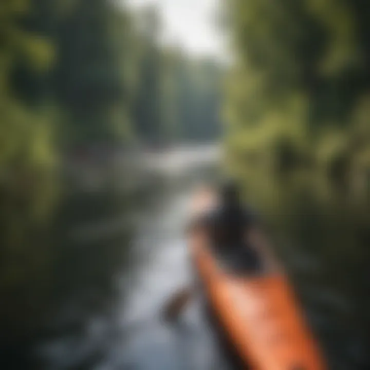 Adventure Seekers Kayaking in Kingston River