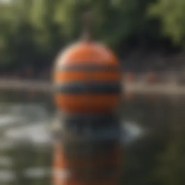 Environmental Impacts of Trotline Buoys Infographic on environmental impacts of trotline buoys