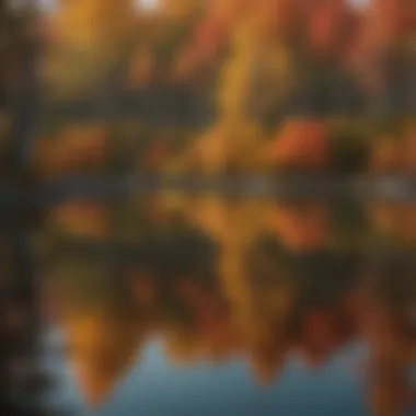 Vibrant autumn foliage reflecting in a crystal-clear lake, a prime fishing location