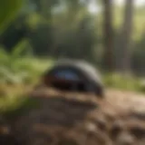 Eco-friendly Pest Control Solution