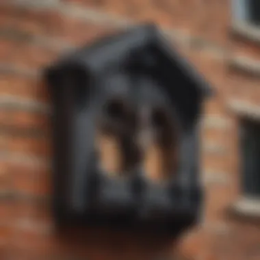 Building Facade Mounting Illustration portraying bat house mounted on a building facade