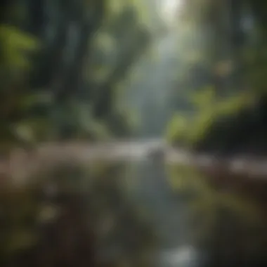 Rainforest stream reflecting the vibrant ecosystem