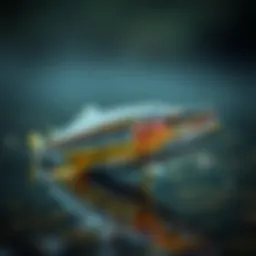 Best Fly Fishing Lures for Trout Introduction