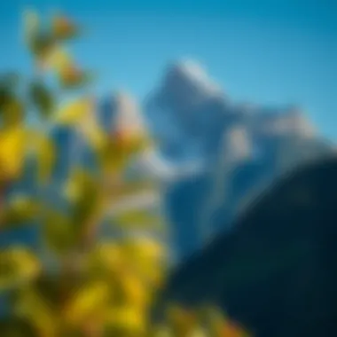 Majestic mountain view with a clear blue sky