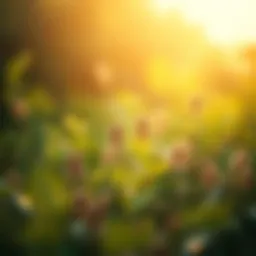 Biological Monitoring: A Tool for Environmental Assessment Introduction