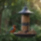 A variety of bird feeders in a lush garden