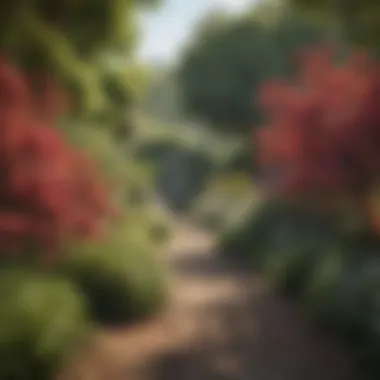 A well-maintained garden showcasing the ecological benefits of blooming shrubs