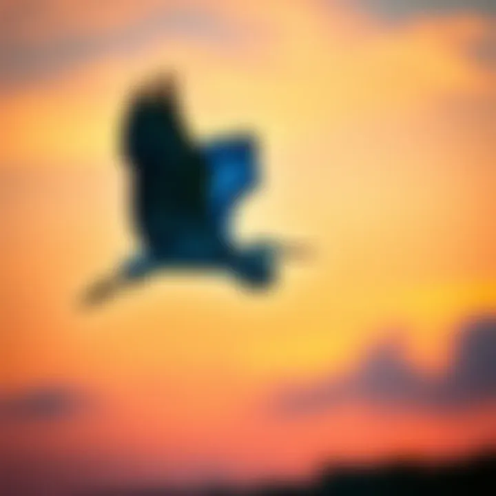 Blue Heron in Flight at Dusk A blue heron in flight against a vibrant sunset sky