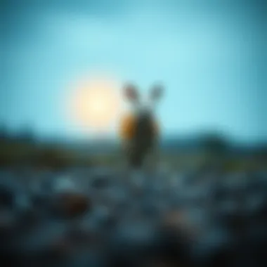 Brownfield Site Remediation: Strategies and Challenges Summary