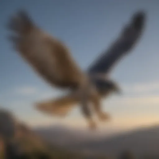 Majestic Peregrine Falcon in Flight
