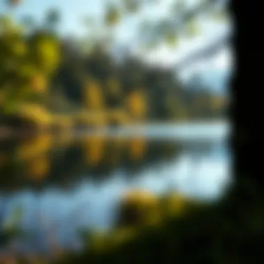 Picturesque Lake for Camping A picturesque lake reflecting the trees, perfect for April camping.