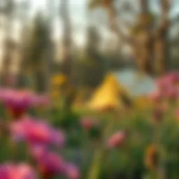 A serene campsite surrounded by blooming wildflowers in early spring.
