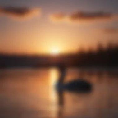 Captivating silhouette of a Loon against a setting sun