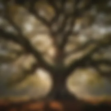 Majestic Oak: Nature's Carbon Guardian Majestic Oak: Nature's Carbon Guardian