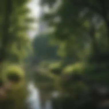 Central Park: A Verdant Oasis Majestic Central Park in New York City
