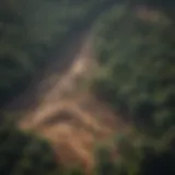 Aerial view of deforestation and its impact on climate.