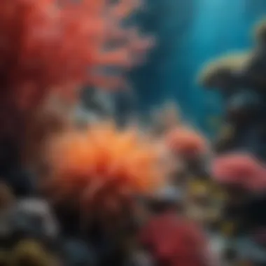 Colorful Coral Reefs Teeming with Life