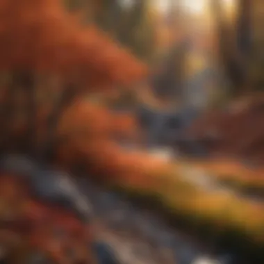 Autumn Palette: Nature's Masterpiece Bush with Colorful Fall Foliage