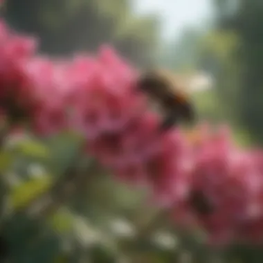 Pollinator Paradise Colorful flowers of a flowering shrub attracting a variety of pollinators