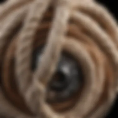 Close-Up of Various Fishing Knots A close-up of various fishing knots displayed on a fishing line