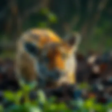 Benefits of composting