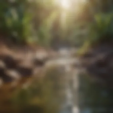 Understanding Groundwater Sources Deep aquifer illustrating groundwater sources