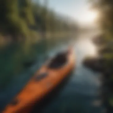 Illustration of eco-friendly kayak maintenance products