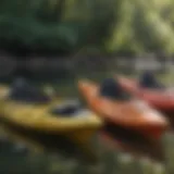 Various kayak cleaners lined up for comparison