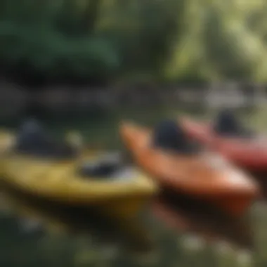 Comparison of Kayak Cleaners Various kayak cleaners lined up for comparison