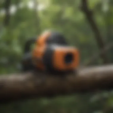 Safety gear for tree branch cutting displayed neatly