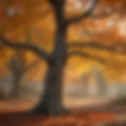 A vibrant deciduous tree showcasing its seasonal color changes