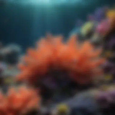 Coral Reef Habitat Bursting with Colorful Marine Life