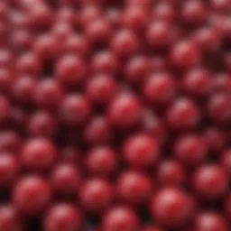 Vibrant Cranberry Complex on White Background