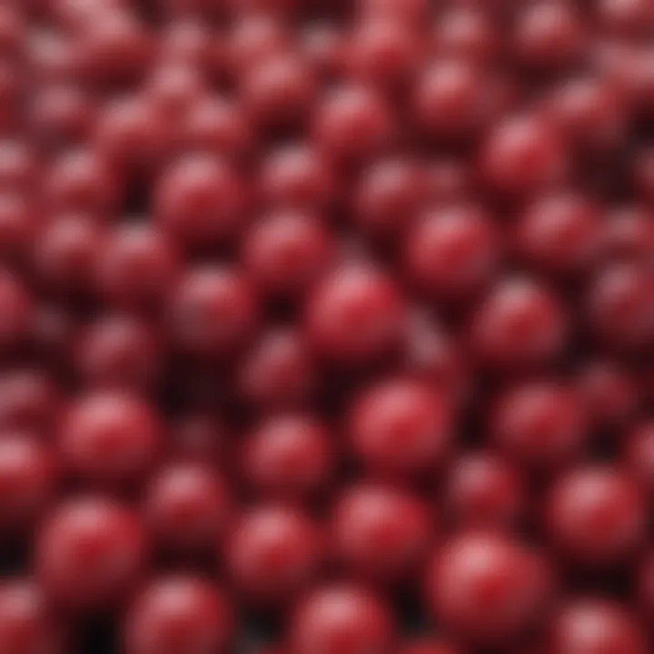 Vibrant Cranberry Complex on White Background