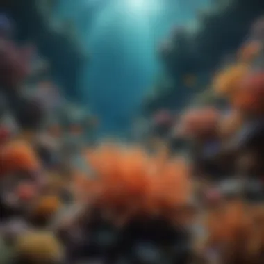 Diverse Coral Reef Ecosystem Underwater