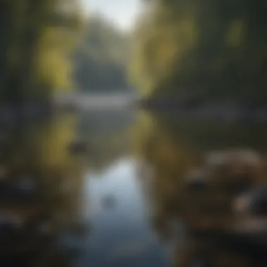 Crystal Clear Lake in the Adirondack Region