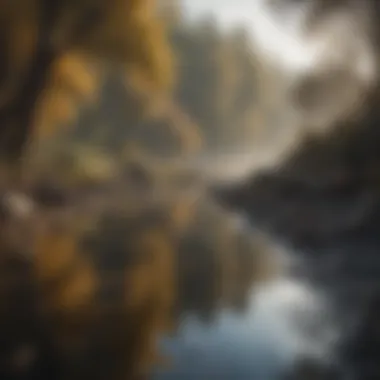 Contrast of River Ecosystems' Condition Dramatic Contrast of Clean vs. Polluted River Ecosystem