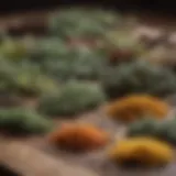 An intricately arranged selection of dried herbs showcasing their unique textures and colors.