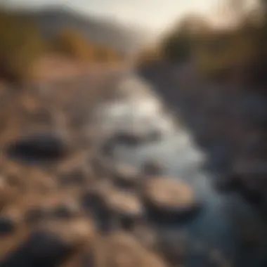 Dried-up Riverbed Exposing Destructive Water Management