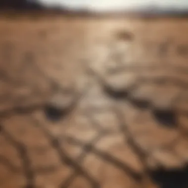 Dry cracked earth symbolizing drought