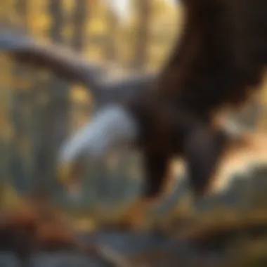 Impressive Hunting Skills of the Eagle Eagle capturing prey with precision