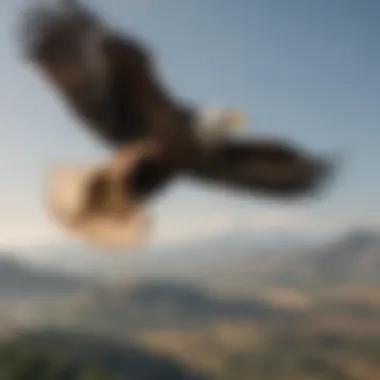 Eagle's intricate flight patterns during migration
