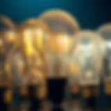 Different types of light bulbs ready for disposal