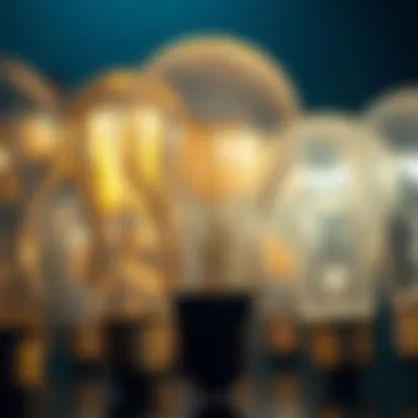 Different types of light bulbs ready for disposal