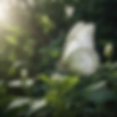 White butterfly gracefully flying against a backdrop of lush greenery