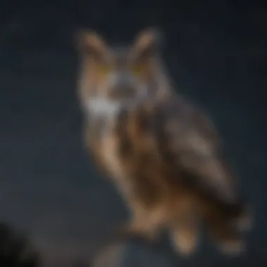 Great horned owl in flight amidst a starry night sky